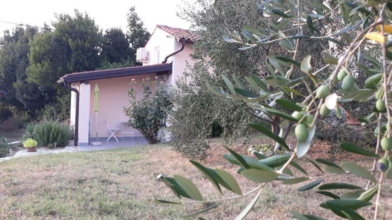 House Barizoni Ankaran