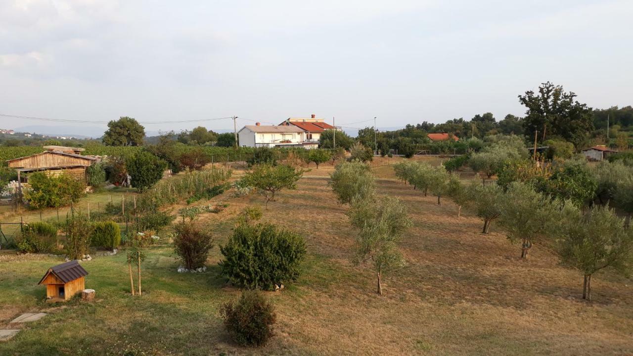 House Barizoni Holiday home Ankaran